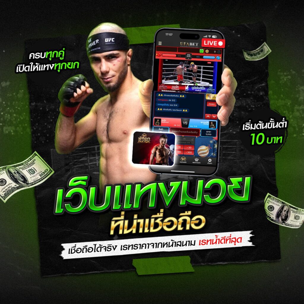 Pakyok77 แทงมวย มวยไทย มวยสากล ทุกคู่ดัง ครบจบในเว็บเดียว